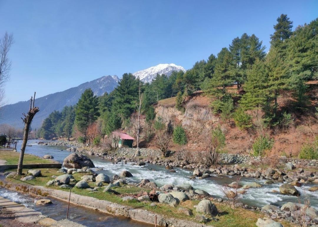 New Relax Inn, Pahalgam, 2 Km From Lidder Valley エクステリア 写真