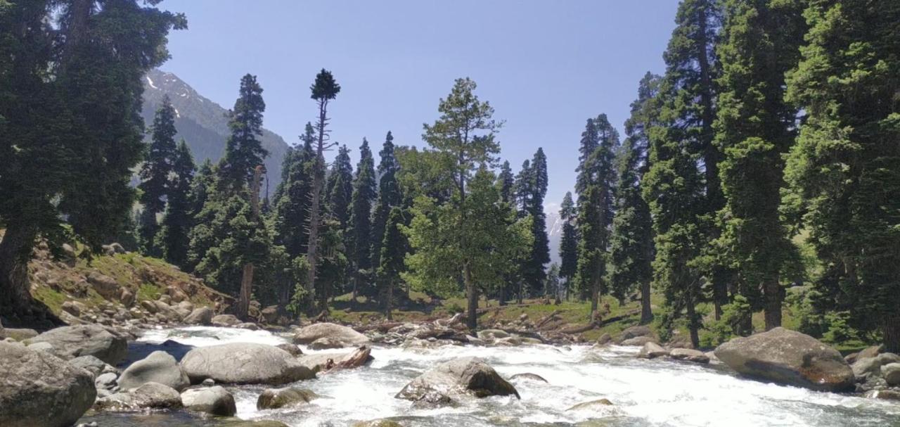 New Relax Inn, Pahalgam, 2 Km From Lidder Valley エクステリア 写真